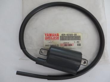Yamaha Zündspule XT500 XT660 MT-03 TDM900 XV125 Virago Original 4DN-82320-00 NEU