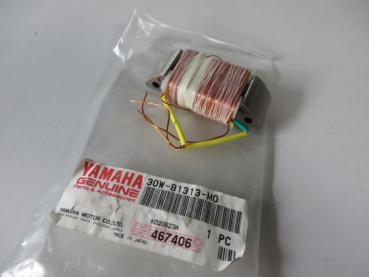 Yamaha Lichtspule DT80 LCI LCII RD80 LCII coil lighting 30W-81313-M0 Original