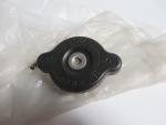 Yamaha Kühlerdeckel DT80 LCII RD350 YPVS VMX1200 V-Max GTS1000 TDR250 XTZ660 XTZ750 Super Tenere 22W-12462-00